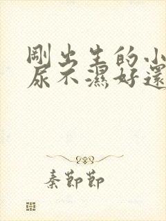 刚出生的小孩用尿不湿好还是尿布好