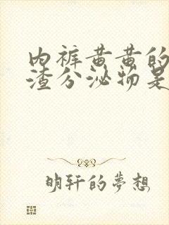 内裤黄黄的豆腐渣分泌物是什么原因