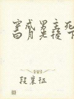 穿成男主死去的白月光后 下载