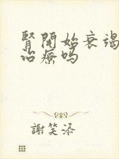 肾开始衰竭可以治疗吗