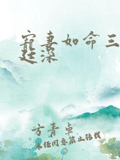 宠妻如命三叔战廷深