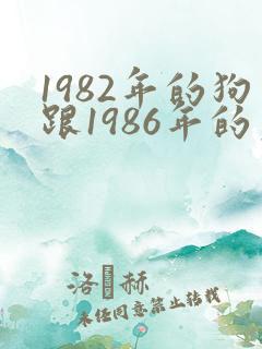 1982年的狗跟1986年的虎相配吗