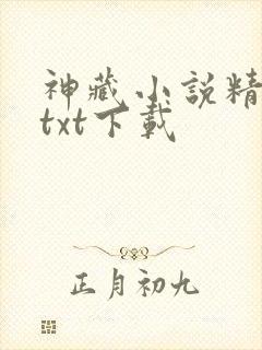 神藏小说精校版txt下载