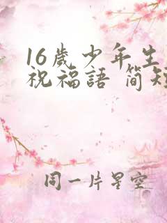 16岁少年生日祝福语 简短独特