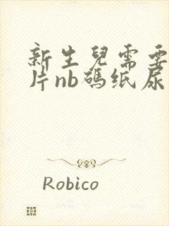 新生儿需要多少片nb码纸尿裤