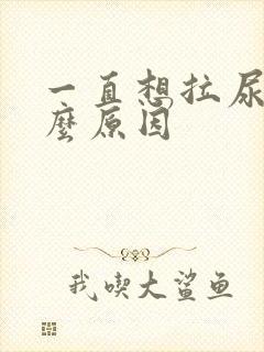 一直想拉尿是什么原因