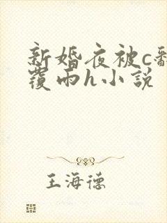 新婚夜被c翻云覆雨h小说