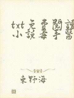 txt免费阅读小说毒手医妃王爷被休夫了