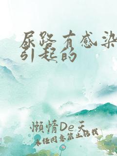 尿路有感染什么引起的