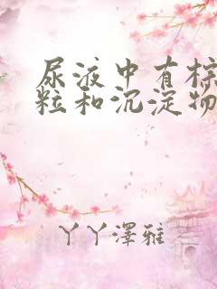 尿液中有棕色颗粒和沉淀物