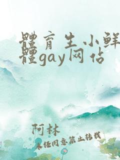 体育生小鲜肉男体gay网站
