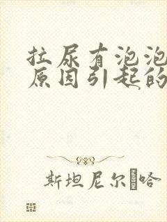 拉尿有泡泡什么原因引起的