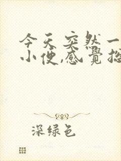 今天突然一直想小便,感觉总有尿