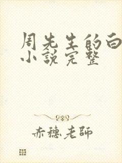 周先生的白月光小说完整