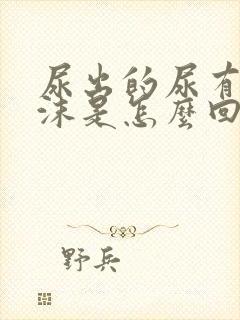 尿出的尿有很多沫是怎么回事