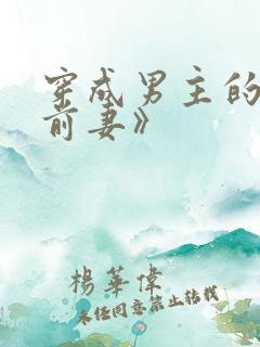 穿成男主的炮灰前妻》