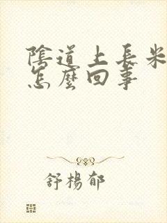 阴道上长米粒是怎么回事