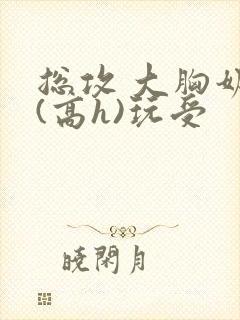 总攻 大胸奶汁(高h)玩受