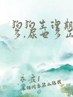 狗狗生理期喝水多,尿也多正常吗