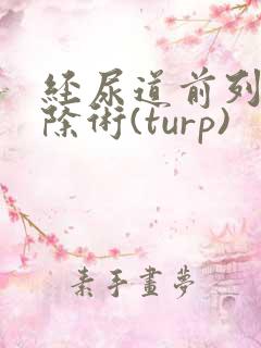 经尿道前列腺切除术(turp)