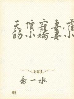 天价宠妻,霍总的小娇妻小说