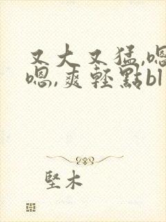 又大又猛,嗯,嗯,爽轻点bl