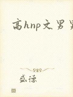 高hnp文男男