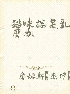 猫咪总是乱尿怎么办