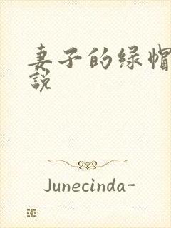 妻子的绿帽奴小说