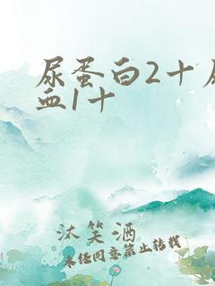 尿蛋白2十尿潜血1十