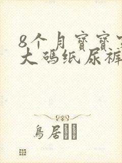 8个月宝宝穿多大码纸尿裤