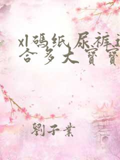 xl码纸尿裤适合多大宝宝