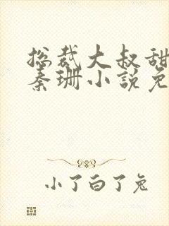 总裁大叔甜宠妻秦珊小说免费阅读