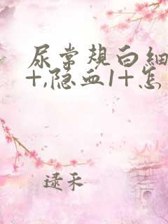 尿常规白细胞3+,隐血1+怎么回事