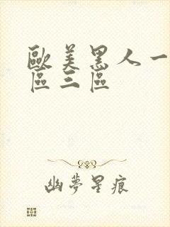 欧美黑人一区二区三区