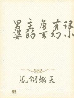 男主角有很多老婆的玄幻小说