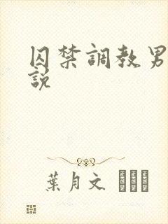 囚禁调教男男小说