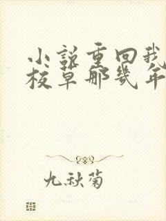 小说重回我爸当校草那几年在线看