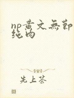 np黄文无节操纯肉