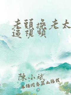 老头操老太太的逼视频