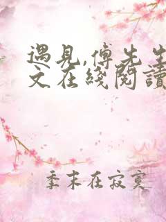 遇见,傅先生全文在线阅读