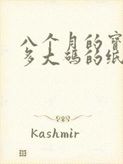 八个月的宝宝穿多大码的纸尿裤