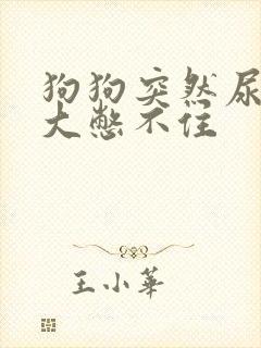 狗狗突然尿量很大憋不住