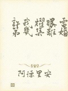 许我耀眼电视剧第几集离婚