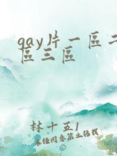 gay片一区二区三区
