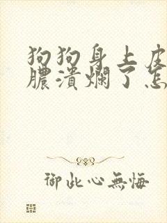 狗狗身上皮肤化脓溃烂了怎么处理