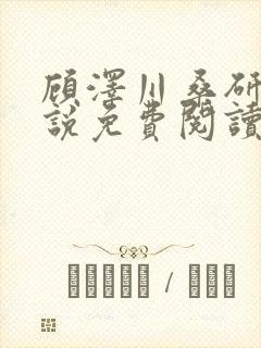 顾泽川桑研宁小说免费阅读笔趣阁