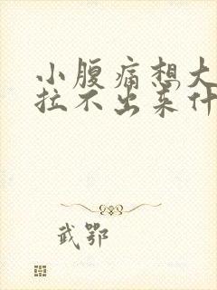 小腹痛想大便又拉不出来什么原因