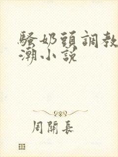 骚奶头调教h高潮小说