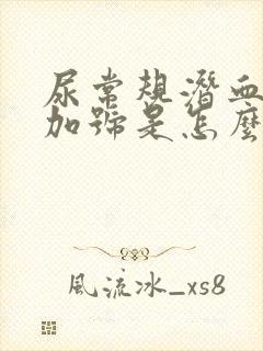 尿常规潜血3个加号是怎么回事